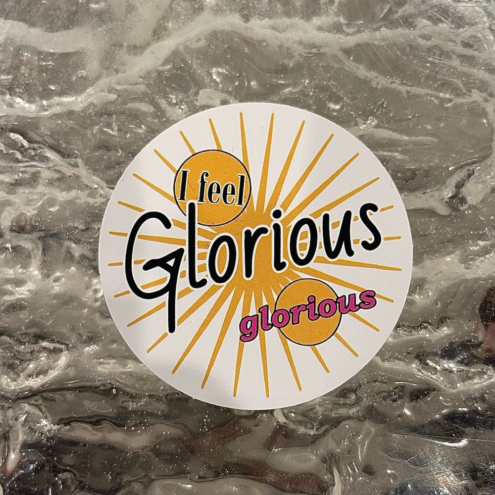 5/$10  Inspirational Waterproof New Vinyl Sticker Decal-I feel Glorious
